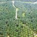 Misteri Kejanggalan Pencadangan Tanah Kebun Pramuka Jambi