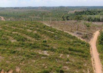 Permasalahan Hukum Yang Menyeret Aspan Menuntut Profesionalitas Varial Adhi Putra