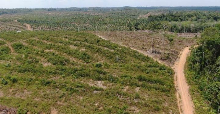 Permasalahan Hukum Yang Menyeret Aspan Menuntut Profesionalitas Varial Adhi Putra