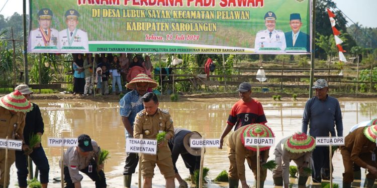 Gubernur Al Haris: Menanam Padi Aksi Nyata Perkuat Ketahanan Pangan