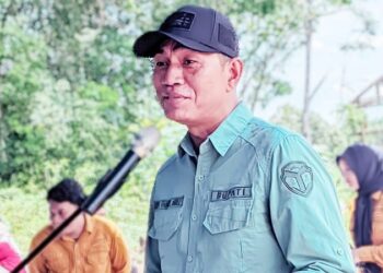 Panen Padi Sawah, Bupati Fadhil Arif Jelaskan Esensi Pentingnya Pangan