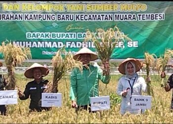 Bupati Fadhil Dorong Perluas Cetak Sawah di Kampung Baru