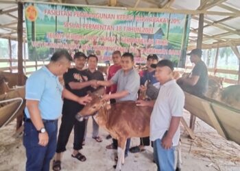 PT Anekapura Multi Kerta (AMK) Berikan Bantuan Ternak Sapi dan Bibit Kelapa Sawit di Desa Kampung Baru Kabupaten Tanjab Barat