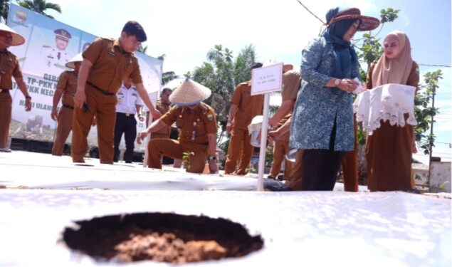 Pj Bupati Raden Najmi Hadiri Kegiatan Gerakan Tanam Cabai 