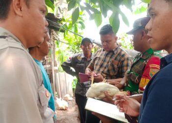 Tipikor Polres Muaro Jambi Periksa Sejumlah Saksi Terkait Dugaan Korupsi Kasus Bibit Ayam di Kasang Pudak
