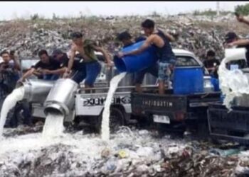 Peternak Sapi Buang Susu Akibat Perusahaan Batasi Pasokan Susu Lokal 