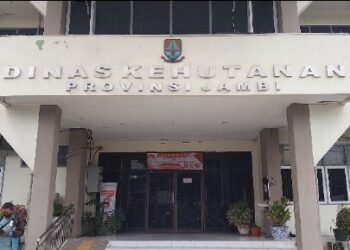 Disinyalir Adanya Praktek Jual Beli Lahan Kawasan Hutan PT Reki , Dinas Kehutanan Jambi Angkat Bicara