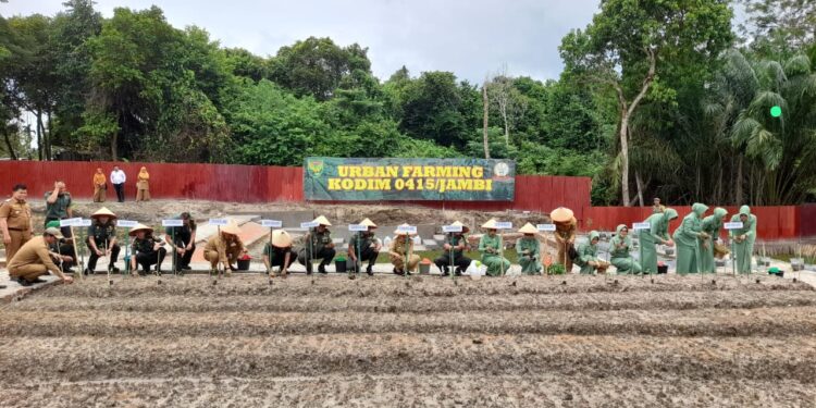 Danrem 042/Gapu Tinjau Urban Farming Kodim 0415/Jambi, Dorong Ketahanan Pangan Kota