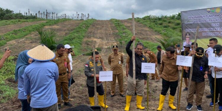 Dukung Swasembada Pangan, Kementan Tanam Padi Gogo di Sungai Bahar