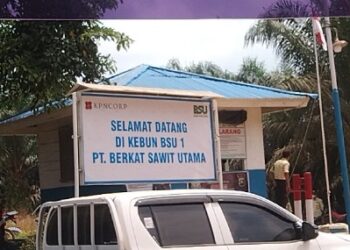 Disinyalir Tidak Punya HGU, Lahan Sawit PT BSU Seluas 5.100 Ha, di Bahar Selatan  Illegal