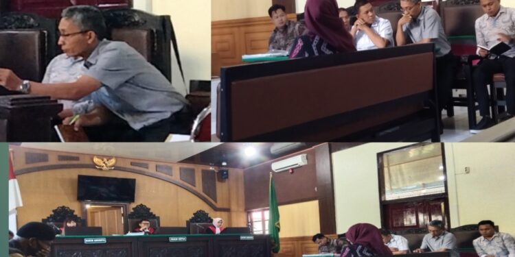 Jems Manalu, Utusan Dishut Jambi Ditegur Keras Hakim  Ketua Saat Sidang Berlangsung