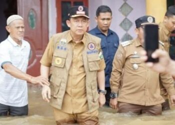 Bupati Bambang Bayu Suseno Meninjau Banjir di Desa Pulau Kayu Aro