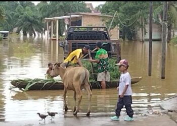 Suasana Ramadhan Ditengah Banjir, Ratusan Rumah Warga Muara Tembesi Terendam