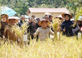 Gubernur Al Haris: Pemprov dan Pemkab Bersinergi Benahi Sistem Pertanian Agar Hasil Meningkat