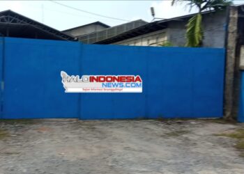 Diduga Gudang Rokok Ilegal Bebas Beraktivitas di Kumpeh Ulu 