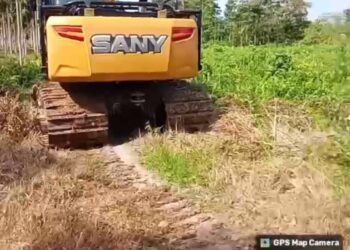 Ketua RLH Desak Penindakan Tegas Terhadap Alat Berat Ilegal di Kawasan Hutan Lindung Londerang, Teluk Dawan