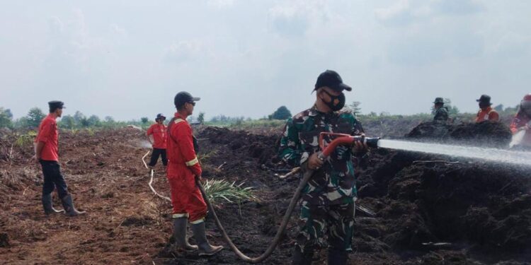 264 Hektar Lahan di Sungai Gelam Terbakar, Api Belum Bisa Dipadamkan