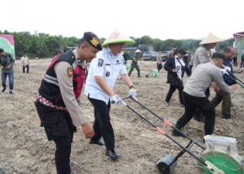 Bupati BBS Mengikuti Penanaman Jagung Kuartal Ke-III Secara Serentak