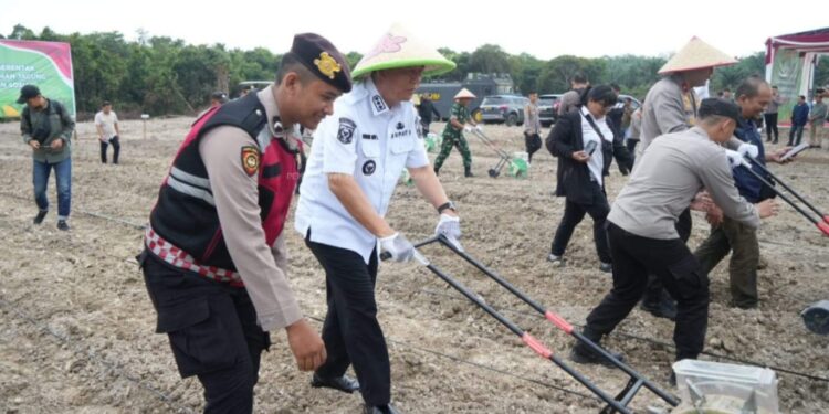Bupati BBS Mengikuti Penanaman Jagung Kuartal Ke-III Secara Serentak