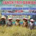 Gubernur Al Haris Salurkan Bantuan Rp. 9,5 Miliar untuk Dukung Swasembada Pangan di Bungo