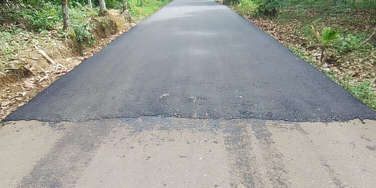 “Kebijakan Aneh PUPR Tanjabtim: Aspal Baru di Atas Aspal Lama, Ada Apa dengan Perencanaan.?”