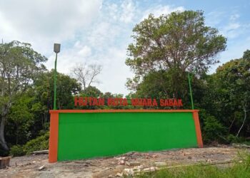 Proyek Tugu Hutan Kota Muara Sabak Habiskan 169 Juta, Tuai Sorotan 