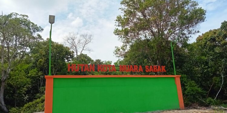Proyek Tugu Hutan Kota Muara Sabak Habiskan 169 Juta, Tuai Sorotan 