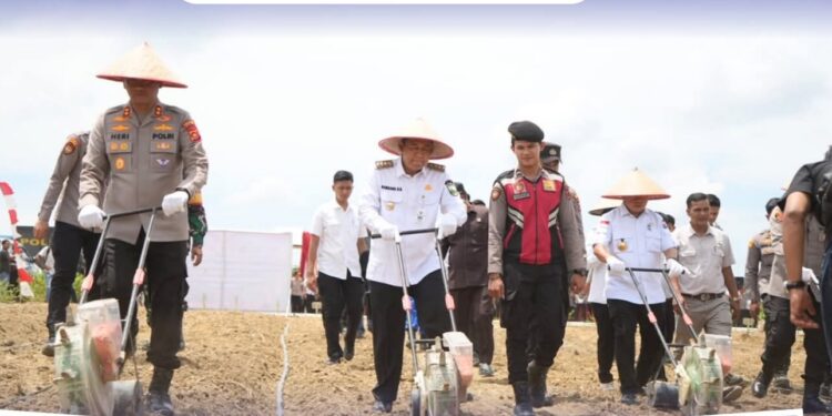 Bupati BBS Lakukan Penanaman Jagung Serentak Kuartal IV Tahun 2025