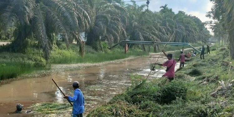 Warga Ucapkan Terimakasih, Program Tebas Bayang BWS VI Tahun 2025 Disambut Positif oleh Petani dan Pemerintah Kelurahan 