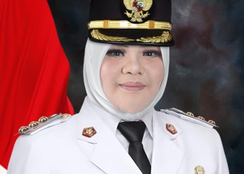 Dillah Hick Jabat Ketua DPD PAN Tanjabtim, Geser Rivalnya Saat Pilkada 2024