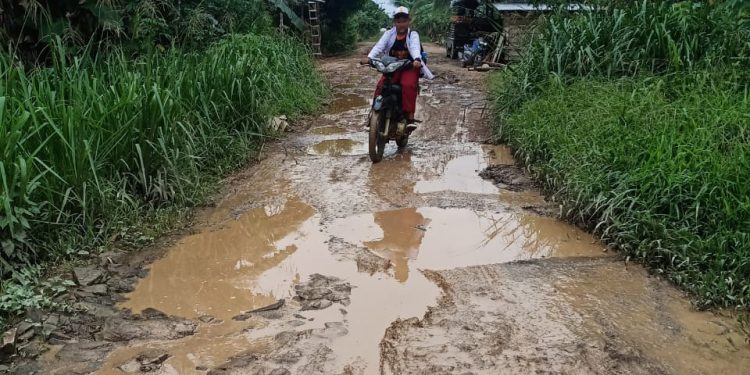 Kado Pahit Tahun Baru 2026, Akses Jalan Kota Raja dan Alang-Alang Bak Kubangan 