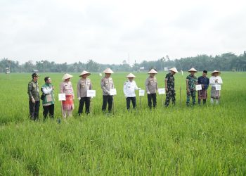 Presiden Prabowo Umumkan Indonesia Swasembada Pangan: Gubernur Al Haris Hadiri Tasyakuran Secara Virtual
