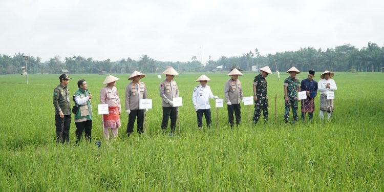 Presiden Prabowo Umumkan Indonesia Swasembada Pangan: Gubernur Al Haris Hadiri Tasyakuran Secara Virtual