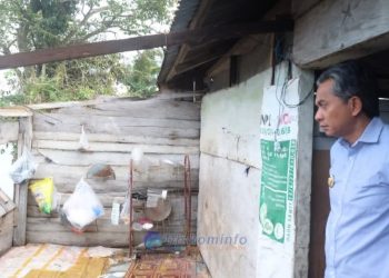 Gerak Cepat, Wabup Junaidi Mahir Pimpin Langsung Penanganan Korban Puting Beliung di Seponjen