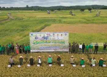 Dukung Ketahanan Pangan, Desa Pasar Terusan Tanam Padi Dua Kali Setahun