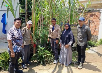 Sengketa Batas Lahan di Simpang IV Sipin Berakhir Damai, Kuasa Hukum: Kedepankan Semangat Kekeluargaan