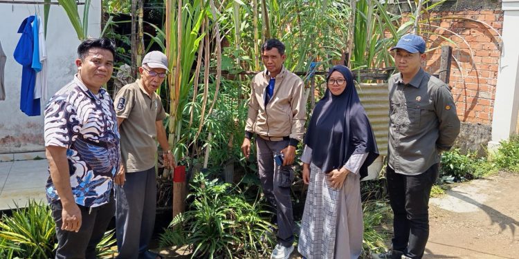 Sengketa Batas Lahan di Simpang IV Sipin Berakhir Damai, Kuasa Hukum: Kedepankan Semangat Kekeluargaan