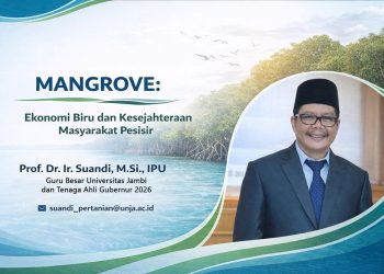 Mangrove Memiliki Peran Penting Bagi Lingkungan dan Kehidupan Manusia