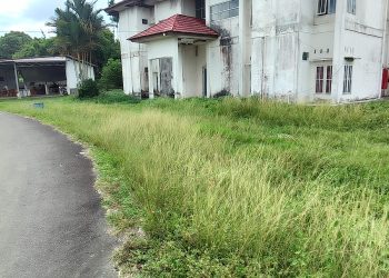 Miris! Pekarangan RSUD Nurdin Hamzah Tanjabtim Tak Terurus, Rumput Liar Setinggi Paha Orang Dewasa