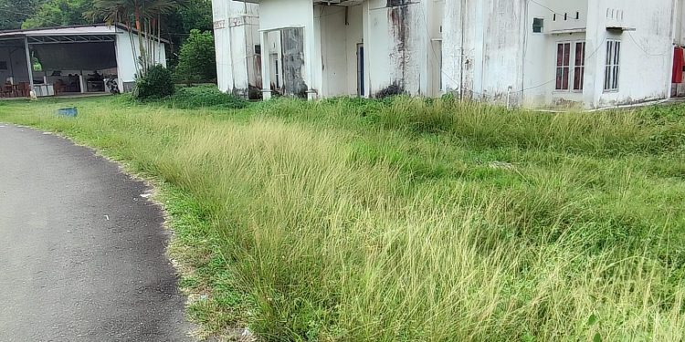 Miris! Pekarangan RSUD Nurdin Hamzah Tanjabtim Tak Terurus, Rumput Liar Setinggi Paha Orang Dewasa