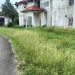 Miris! Pekarangan RSUD Nurdin Hamzah Tanjabtim Tak Terurus, Rumput Liar Setinggi Paha Orang Dewasa