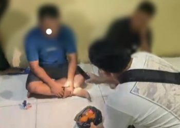 Edi Purwanto Ditangkap Polisi, Selundupkan Ratusan Ekor Burung Ilegal