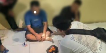 Edi Purwanto Ditangkap Polisi, Selundupkan Ratusan Ekor Burung Ilegal