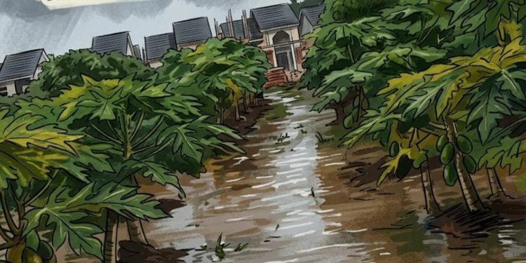 Lahan Pertanian Warga Kasang Pudak Terendam Banjir Akibat Pembangunan Perumahan Mandiri Asri 2, Kuasa Hukum Layangkan  Somasi