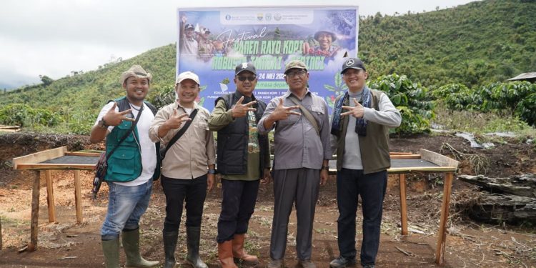 Tembus Jalur Ekstrem, Ariansyah Wakili Gubernur Jambi Panen Kopi di Kerinci