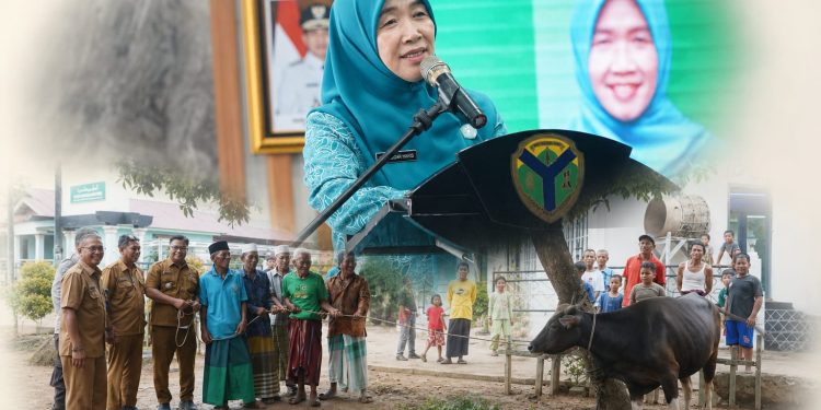Hj. Hesnidar Haris Serahkan Hewan Kurban untuk Masyarakat Batang Hari dan Muaro Jambi