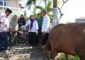 Hj. Hesti Haris bersama BKMT dan Posyandu Serahkan Hewan Kurban di Desa Tangkit dan Kelurahan Kasang