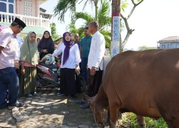 Hj. Hesti Haris bersama BKMT dan Posyandu Serahkan Hewan Kurban di Desa Tangkit dan Kelurahan Kasang