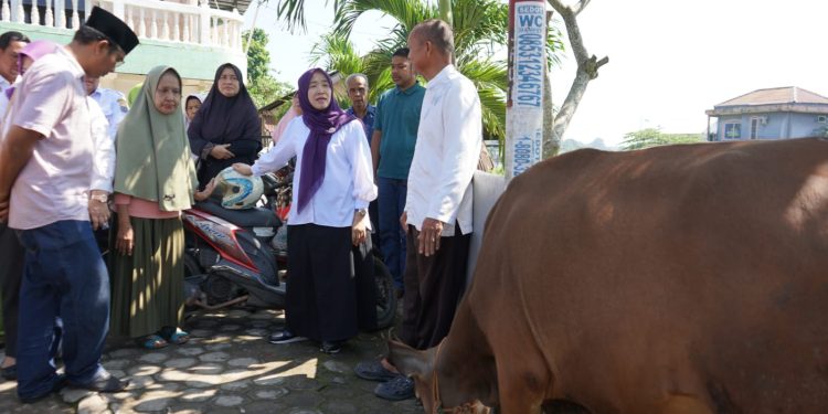 Hj. Hesti Haris bersama BKMT dan Posyandu Serahkan Hewan Kurban di Desa Tangkit dan Kelurahan Kasang