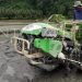 3.036,76 Hektare Realisasi Luas Tanam Padi hingga April 2026
